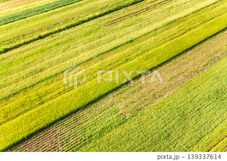 Aerial view of green agricultural fields in spring with fresh vegetation after seeding season on a warm sunny day. Aerial view of green agricultural fields in spring with fresh vegetation after seeding season on a warm sunny day. 139337614