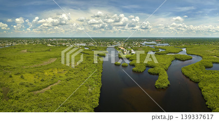 Aerial view of Florida wetlands with green vegetation between ocean water inlets and distant residential houses. Natural habitat of many tropical species Aerial view of Florida wetlands with green vegetation between ocean water inlets and distant residential houses. Natural habitat of many tropical species 139337617