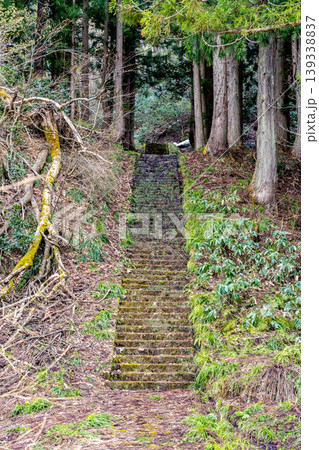 神社への階段 神社への階段 139338837
