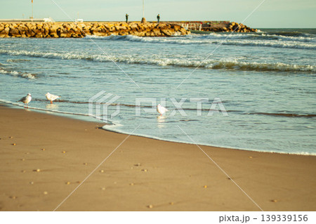 Seagulls on sandy beach in Sitges with gentle waves and Mediterranean coastline 139339156
