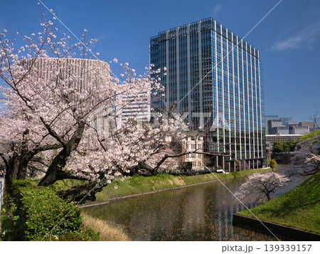 桜が満開の皇居牛ヶ淵と九段会館テラス　東京都 139339157