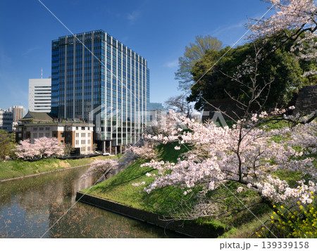 桜が満開の皇居牛ヶ淵と九段会館テラス　東京都 139339158