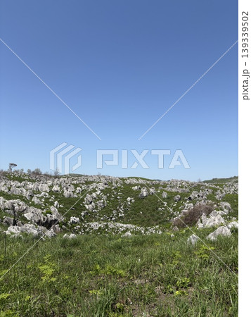 新緑のカルスト大地 新緑のカルスト大地 139339502