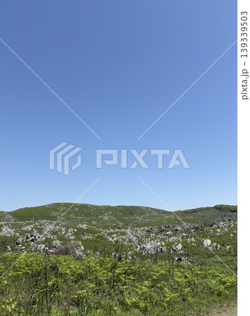 春の草原とカルスト大地 春の草原とカルスト大地 139339503