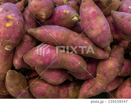 Fresh sweet potatoes pile at farmers market, organic root vegetable display Fresh sweet potatoes pile at farmers market, organic root vegetable display 139339547