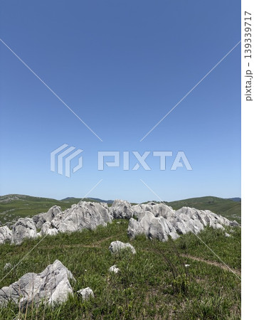 新緑のカルスト大地 新緑のカルスト大地 139339717