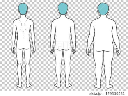 成人男性の体型比較イラスト（痩せ型・標準・肥満の3種セット・後ろ姿） 139339981