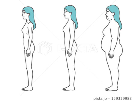 成人女性の体型比較イラスト（痩せ型・標準・肥満の3種セット・側面） 139339988