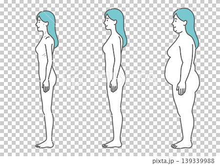 成人女性の体型比較イラスト（痩せ型・標準・肥満の3種セット・側面） 139339988