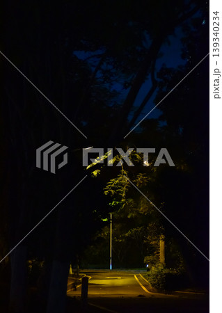 Close-up of the street light at night. City street lamp post in the street at night. Cityscape and lighting scene. Close-up of the street light at night. City street lamp post in the street at night. Cityscape and lighting scene. 139340234