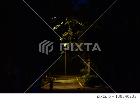 Close-up of the street light at night. City street lamp post in the street at night. Cityscape and lighting scene. Close-up of the street light at night. City street lamp post in the street at night. Cityscape and lighting scene. 139340235
