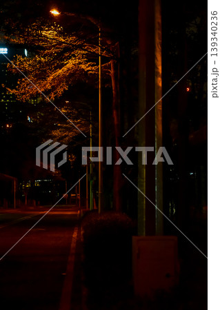 Close-up of the street light at night. City street lamp post in the street at night. Cityscape and lighting scene. Close-up of the street light at night. City street lamp post in the street at night. Cityscape and lighting scene. 139340236