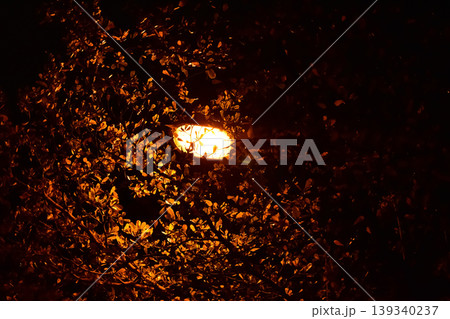 Close-up of the street light at night. City street lamp post in the street at night. Cityscape and lighting scene. Close-up of the street light at night. City street lamp post in the street at night. Cityscape and lighting scene. 139340237