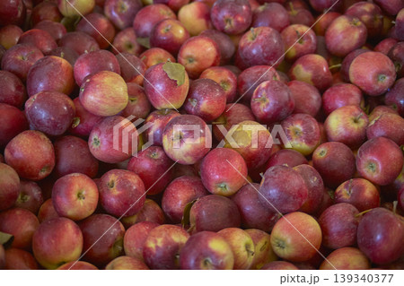 Red apples in group Red apples in group 139340377