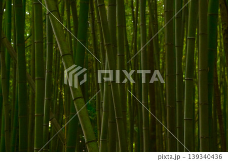 The view of Arashiyama Bamboo Forest aka Arashiyaman Bamboo Grove in Kyoto, Japan. One of Japan's most famous tourist attraction. Bamboo landscape. Travel and nature concept. The view of Arashiyama Bamboo Forest aka Arashiyaman Bamboo Grove in Kyoto, Japan. One of Japan's most famous tourist attraction. Bamboo landscape. Travel and nature concept. 139340436