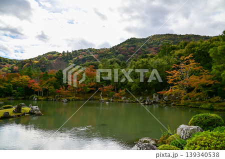 The garden scene of Tenryuji Temple at autumn. Famous temple in Japan. Tenryuji Temple is a Japanese traditional temples in Kyoto. Autumn and garden view. Nature and Travel concept. The garden scene of Tenryuji Temple at autumn. Famous temple in Japan. Tenryuji Temple is a Japanese traditional temples in Kyoto. Autumn and garden view. Nature and Travel concept. 139340538