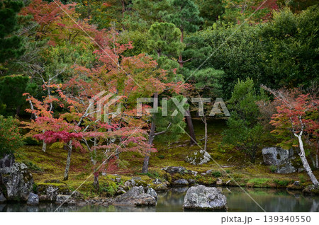 The garden scene of Tenryuji Temple at autumn. Famous temple in Japan. Tenryuji Temple is a Japanese traditional temples in Kyoto. Autumn and garden view. Nature and Travel concept. The garden scene of Tenryuji Temple at autumn. Famous temple in Japan. Tenryuji Temple is a Japanese traditional temples in Kyoto. Autumn and garden view. Nature and Travel concept. 139340550