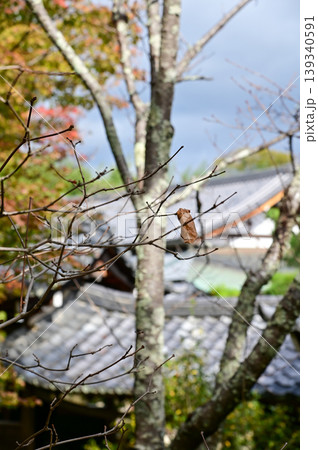Close-up of the roof of Tenryuji Temple in Kyoto, Japan with trees. Roof tile pattern. Major tourist attraction in Kansai region in Japan. Japan famous historic architecture. Building structure. Close-up of the roof of Tenryuji Temple in Kyoto, Japan with trees. Roof tile pattern. Major tourist attraction in Kansai region in Japan. Japan famous historic architecture. Building structure. 139340591