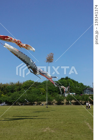 常滑市小脇公園の鯉のぼり 139341374