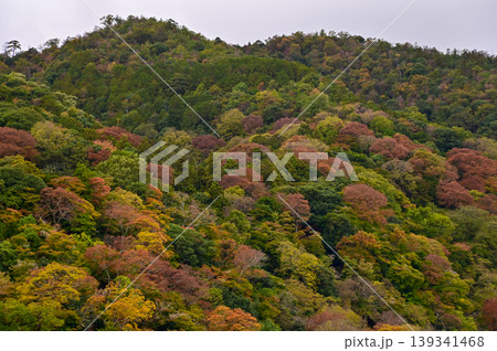 The view of Katsura River at autumn from Togetsukyo Bridge, Kyoto, Japan. A well-known place of scenic beauty in the western hills of Kyoto. Nature and travel concept. The view of Katsura River at autumn from Togetsukyo Bridge, Kyoto, Japan. A well-known place of scenic beauty in the western hills of Kyoto. Nature and travel concept. 139341468