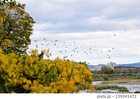 The view of Katsura River at autumn from Togetsukyo Bridge, Kyoto, Japan. A well-known place of scenic beauty in the western hills of Kyoto. Nature and travel concept. The view of Katsura River at autumn from Togetsukyo Bridge, Kyoto, Japan. A well-known place of scenic beauty in the western hills of Kyoto. Nature and travel concept. 139341472