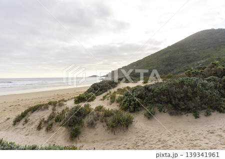 Beach of Whisky Bay at Wilsons Promontory National Park, Victoria, Australia. Beach of Whisky Bay at Wilsons Promontory National Park, Victoria, Australia. 139341961