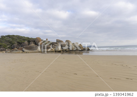 Beach of Whisky Bay at Wilsons Promontory National Park, Victoria, Australia. 139341962