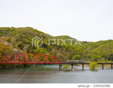 水没林の風景 水没林の風景 139342066