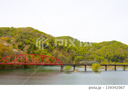 水没林の風景 139342067