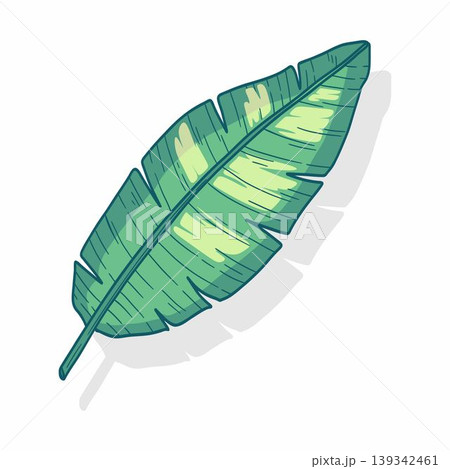 A banana leaf vector illustration 139342461