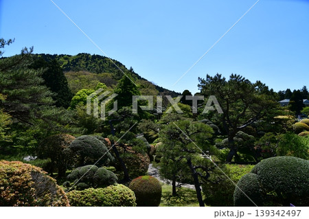 恩賜箱根公園 恩賜箱根公園 139342497