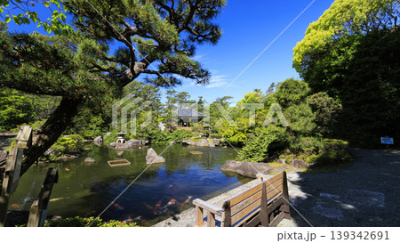 葉山しおさい公園の初夏 139342691