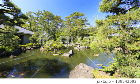 葉山しおさい公園の初夏 139342692