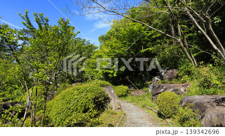 葉山しおさい公園の初夏 葉山しおさい公園の初夏 139342696