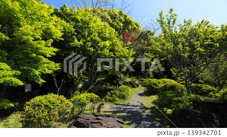 葉山しおさい公園の初夏 葉山しおさい公園の初夏 139342701
