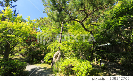 葉山しおさい公園の初夏 葉山しおさい公園の初夏 139342703