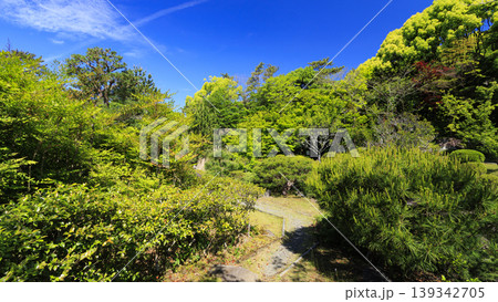 葉山しおさい公園の初夏 葉山しおさい公園の初夏 139342705