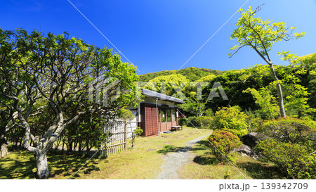葉山しおさい公園の初夏 139342709