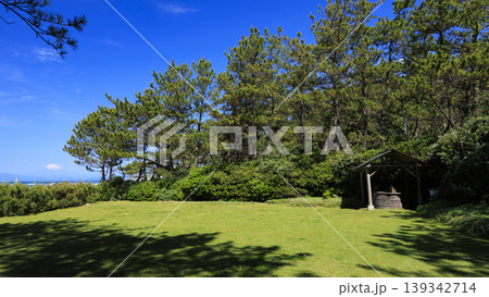 葉山しおさい公園の初夏 葉山しおさい公園の初夏 139342714