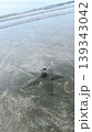 海のヒトデ 139343042