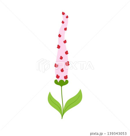 wildflower spike on stem with small inflorescences 139343053