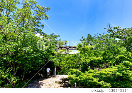 【福岡】初夏の太宰府　竈門神社の一の鳥居と参拝客 139343134