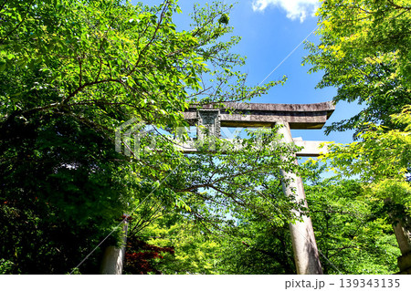 【福岡】初夏の太宰府 竈門神社の一の鳥居と青空 【福岡】初夏の太宰府 竈門神社の一の鳥居と青空 139343135