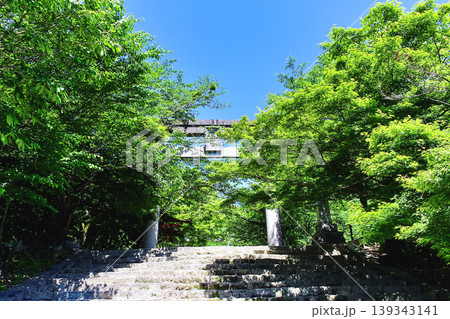 【福岡】初夏の太宰府　竈門神社の一の鳥居と新緑 139343141