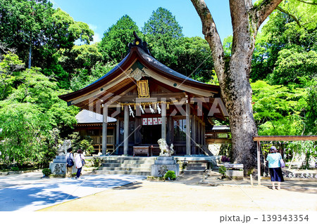 【福岡】初夏の太宰府　竈門神社の本殿と参拝客 139343354