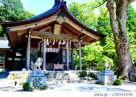 【福岡】初夏の太宰府 竈門神社の本殿 【福岡】初夏の太宰府 竈門神社の本殿 139343356