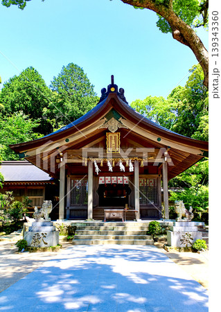 【福岡】初夏の太宰府　竈門神社の本殿と新緑 139343360