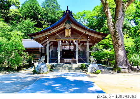 【福岡】初夏の太宰府　竈門神社の本殿と新緑 139343363