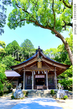 【福岡】初夏の太宰府　竈門神社の本殿と新緑 139343364