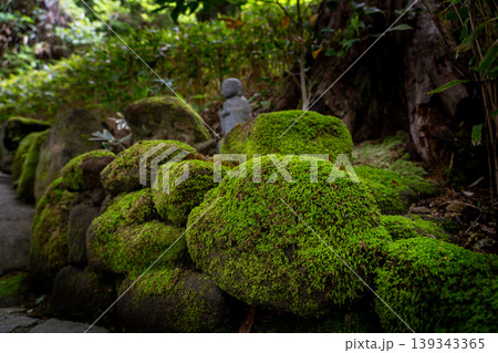 苔むした岩 苔むした岩 139343365